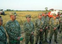 Presiden Prabowo Apresiasi Panen Raya TNI di 43 Lokasi, Perkuat Ketahanan Pangan Nasional