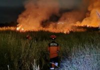 Total 520 Karhutla di Sumsel, Hanguskan Lahan 664,87 Hektare di 12 Kabupaten Total 520 Karhutla di Sumsel, Hanguskan Lahan 664,87 Hektare di 12 Kabupaten