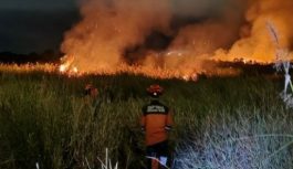 Total 520 Karhutla di Sumsel, Hanguskan Lahan 664,87 Hektare di 12 Kabupaten