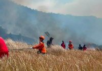 Karhutla Kepung Kawasan Gunung Bromo Karhutla Kepung Kawasan Gunung Bromo