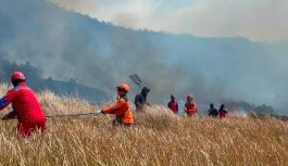 Karhutla Kepung Kawasan Gunung Bromo
