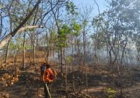 Terus Padamkan Karhutla di Kawasan Gunung Bromo Terus Padamkan Karhutla di Kawasan Gunung Bromo