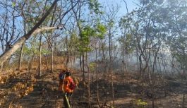 Terus Padamkan Karhutla di Kawasan Gunung Bromo