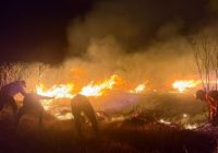 Karhutla Hanguskan Lebih dari 30 Hektare Lahan di Kawasan Gunung Rinjani Karhutla Hanguskan Lebih dari 30 Hektare Lahan di Kawasan Gunung Rinjani