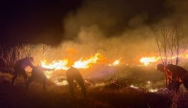 Karhutla Hanguskan Lebih dari 30 Hektare Lahan di Kawasan Gunung Rinjani