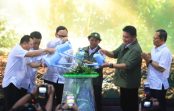 Resmikan Pusat Persemaian Kemampo, Menhut: Pembangunan Hutan Dimulai dari Penyediaan Bibit Unggul