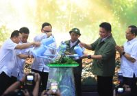 Resmikan Pusat Persemaian Kemampo, Menhut: Pembangunan Hutan Dimulai dari Penyediaan Bibit Unggul Resmikan Pusat Persemaian Kemampo, Menhut: Pembangunan Hutan Dimulai dari Penyediaan Bibit Unggul