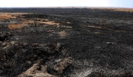Percepatan Penanganan Karhutla Bromo Terkendala Tiga Hal