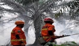 Karhutla Menggila di Pulau Kalimantan, Terdata 1.487 Hotspot