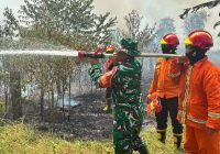 Hotspot Meningkat, Karhutla di Sumsel 1.672 Kali dengan Luas Lahan Terbakar 1.926,2 Hektare