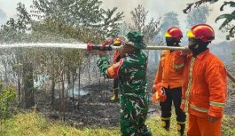 Hotspot Meningkat, Karhutla di Sumsel 1.672 Kali dengan Luas Lahan Terbakar 1.926,2 Hektare