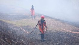 Karhutla Selimuti Tol Palindra, Gubernur Sumsel Minta Titik Api Segera Dipadamkan Karhutla Selimuti Tol Palindra, Gubernur Sumsel Minta Titik Api Segera Dipadamkan