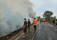 Ratusan Hektare Lahan di Muba Terbakar, Warga Terdampak Kabut Asap Karhutla