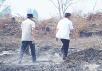 Terdeteksi 242 Lokasi Karhutla di Muba, Gubernur Sumsel: Mayoritas Terjadi di Lahan Terbengkalai Terdeteksi 242 Lokasi Karhutla di Muba, Gubernur Sumsel: Mayoritas Terjadi di Lahan Terbengkalai