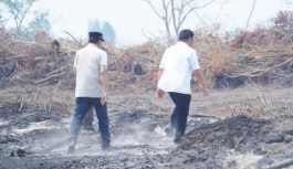 Terdeteksi 242 Lokasi Karhutla di Muba, Gubernur Sumsel: Mayoritas Terjadi di Lahan Terbengkalai Terdeteksi 242 Lokasi Karhutla di Muba, Gubernur Sumsel: Mayoritas Terjadi di Lahan Terbengkalai