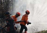 Penanganan Karhutla Jambi, Perkuat Sekat Bakar dan Pendinginan Penanganan Karhutla Jambi, Perkuat Sekat Bakar dan Pendinginan
