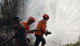Penanganan Karhutla Jambi, Perkuat Sekat Bakar dan Pendinginan