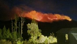 Karhutla Meluas ke Kawasan Gunung di Jawa Timur
