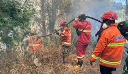 Penanganan Karhutla Sejumlah Gunung Jawa Timur Berlanjut