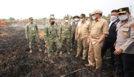 Menko Polkam dan Kepala BNPB Tinjau Langsung Operasi Pemadaman Karhutla Sumsel Menko Polkam dan Kepala BNPB Tinjau Langsung Operasi Pemadaman Karhutla Sumsel