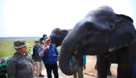 Tinjau Penanganan Karhutla di Habitat Gajah